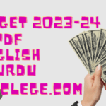 Download Budget 2023-24 pdf in Urdu and English Online Free in Pakistan